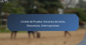 Cricket de Prueba: Horarios de inicio, Descansos, Interrupciones