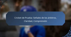 Cricket de Prueba: Señales de los árbitros, Claridad, Comprensión