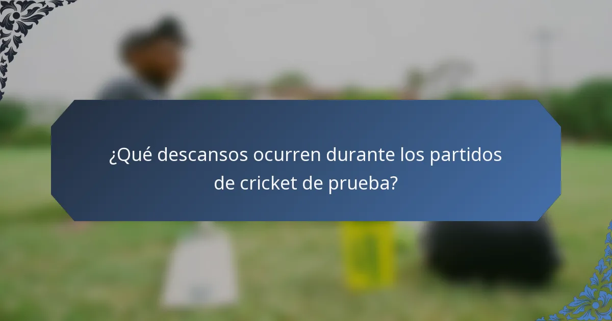 ¿Qué descansos ocurren durante los partidos de cricket de prueba?